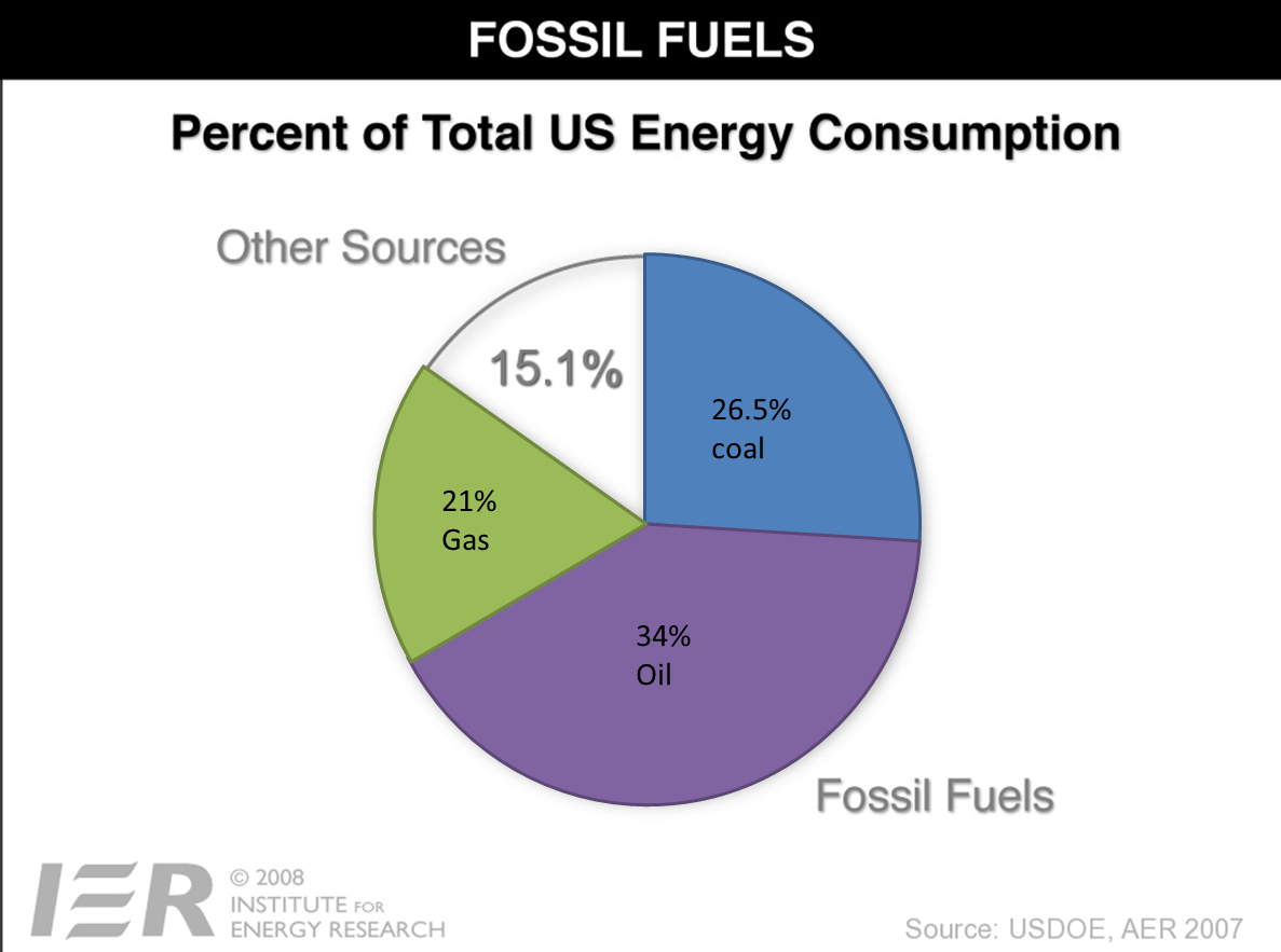 fossil fuels pi chart4 Chicago Website Design SEO Company